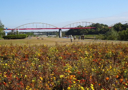 e0172950_20231145.jpg