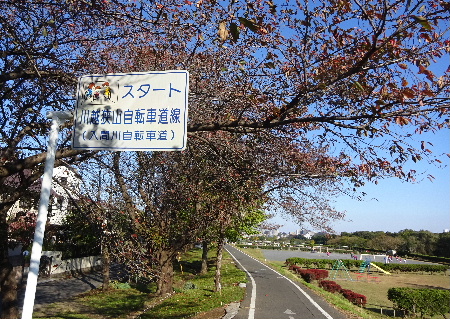 e0172950_20293151.jpg