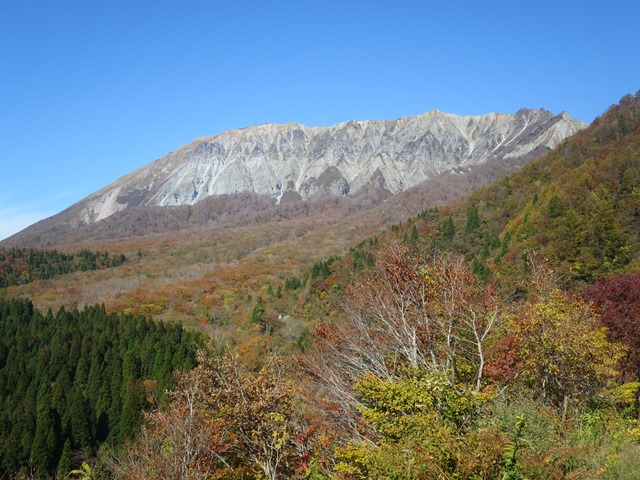 f0202151_20454491.jpg