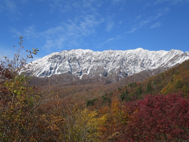 f0202151_20553371.jpg
