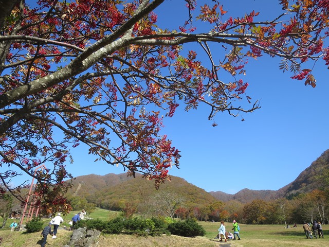 f0202151_21121750.jpg