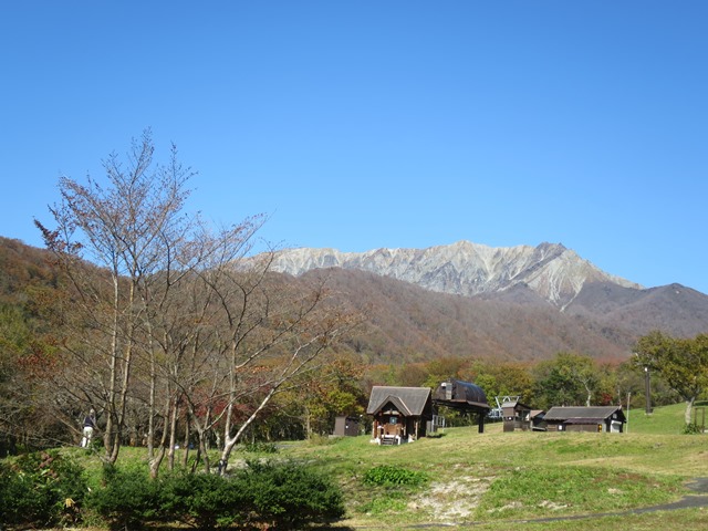 f0202151_21134821.jpg