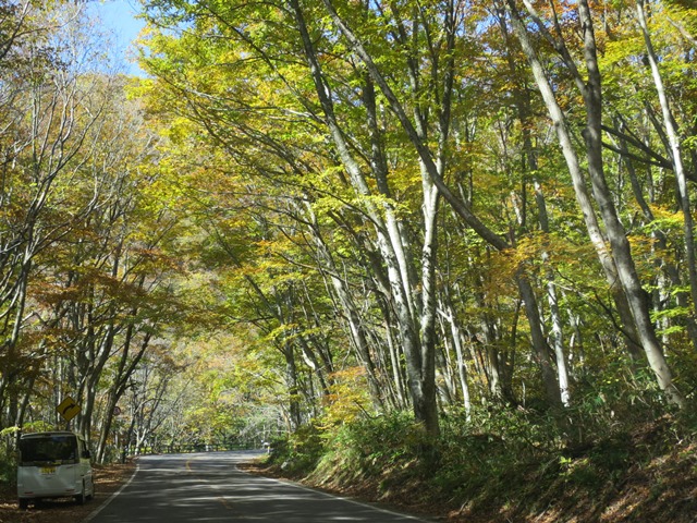f0202151_2116094.jpg