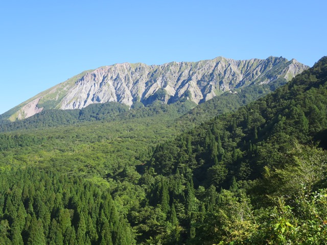 f0202151_212774.jpg