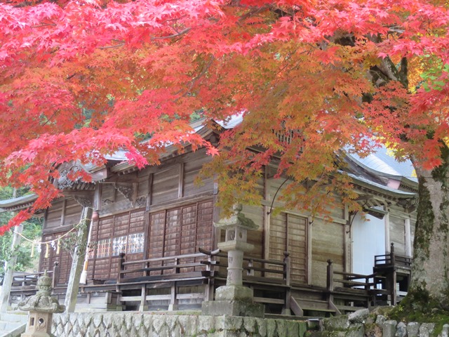 f0202151_2151913.jpg