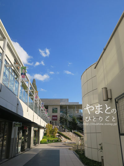 a0286855_6362421.jpg