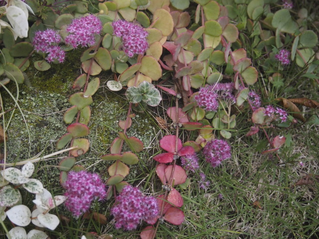 b0246758_22040810.jpg