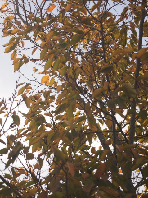 b0246758_22064387.jpg