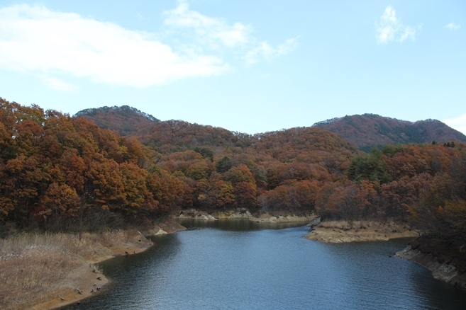 e0239458_21205296.jpg