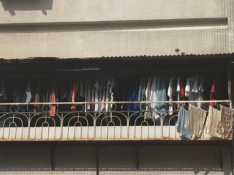 c0130060_14465949.gif