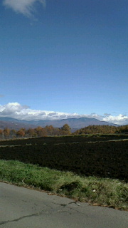 d0045362_9375117.jpg