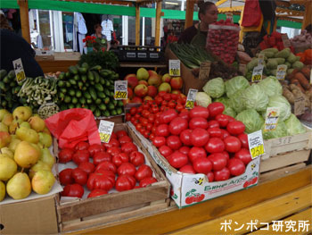 e0073268_208378.jpg
