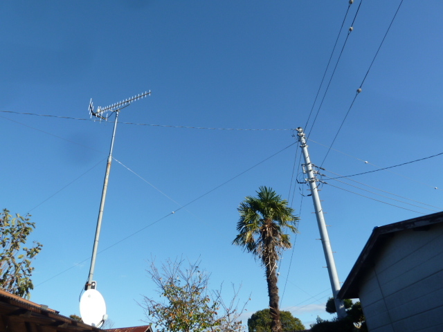 e0278968_20134403.jpg