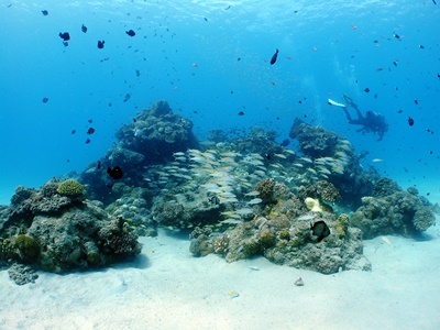 b0033573_18340190.jpg
