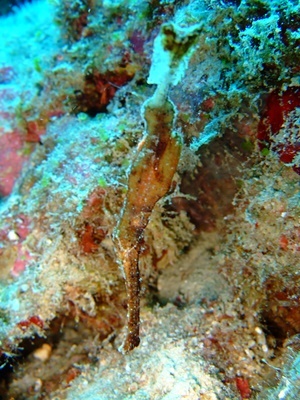 b0033573_18343765.jpg