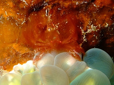 b0033573_18353912.jpg