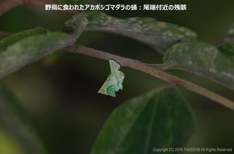 f0090680_17133168.jpg