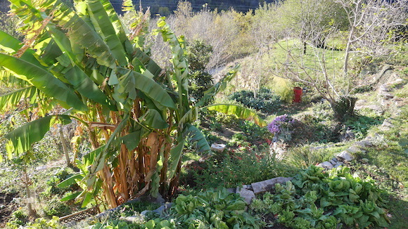 a0278382_13512806.jpg