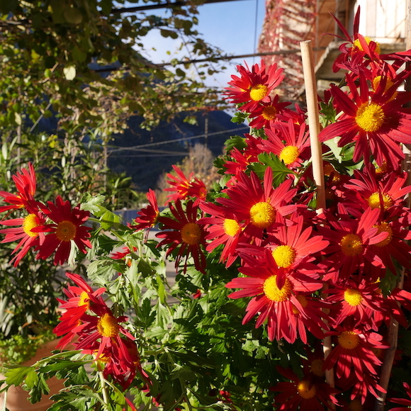 a0278382_13523498.jpg