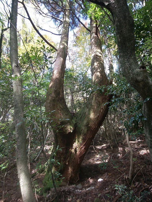 f0372285_18501887.jpg