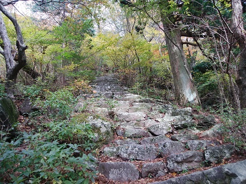 f0372285_18520695.jpg