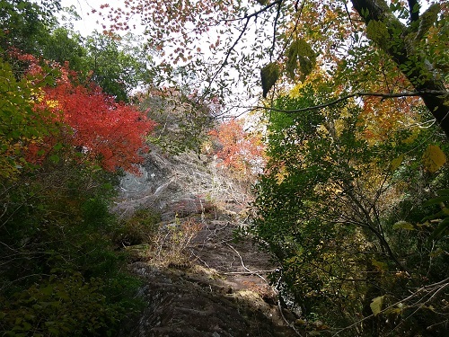 f0372285_18520889.jpg