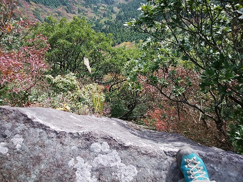 f0372285_18521562.jpg