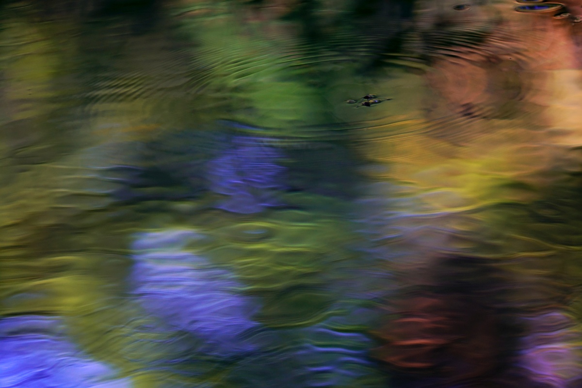 e0108787_2362794.jpg