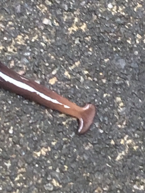 c0123890_21284869.jpg