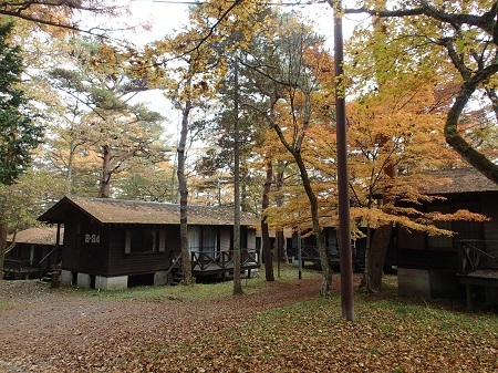 e0023790_15321032.jpg