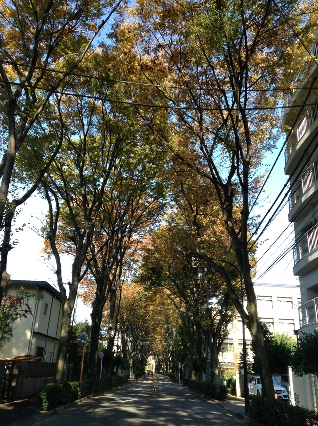 e0115994_13121640.jpg