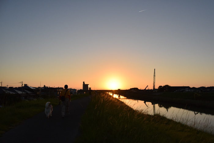 c0049299_21263692.jpg