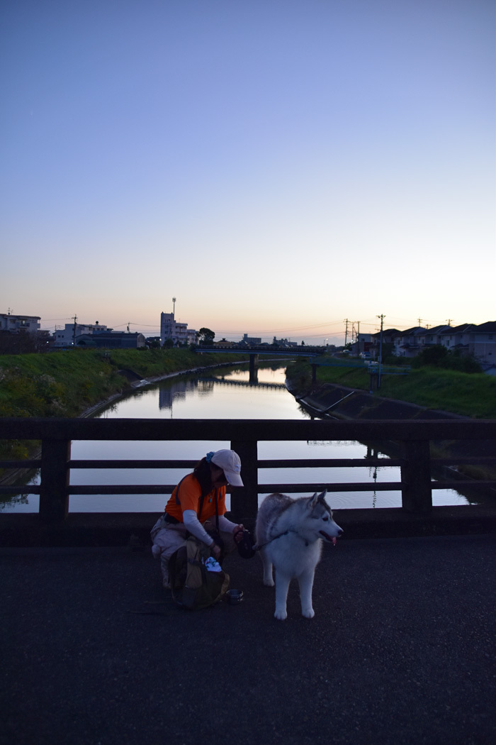 c0049299_21314818.jpg