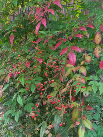 f0239100_23333542.jpg