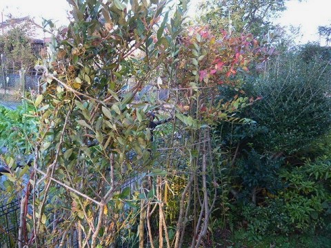 c0112206_21314169.jpg