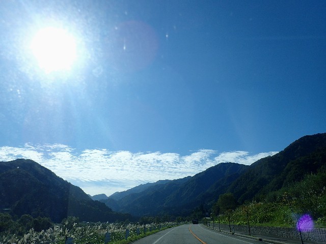 f0043911_17195467.jpg