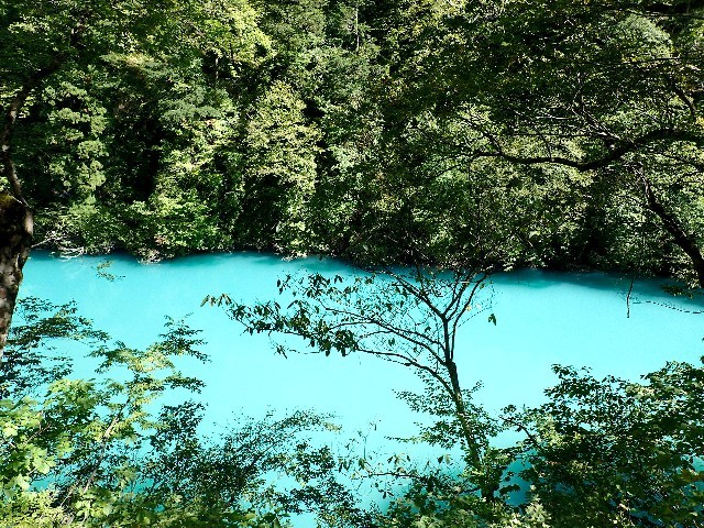 f0043911_17273234.jpg