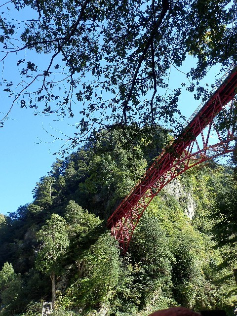 f0043911_17302805.jpg