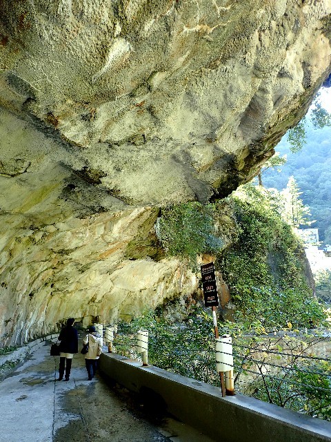 f0043911_17312963.jpg