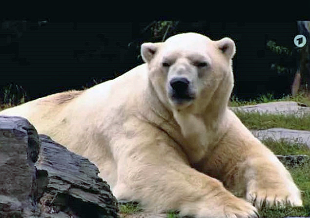 a0151913_2491618.jpg