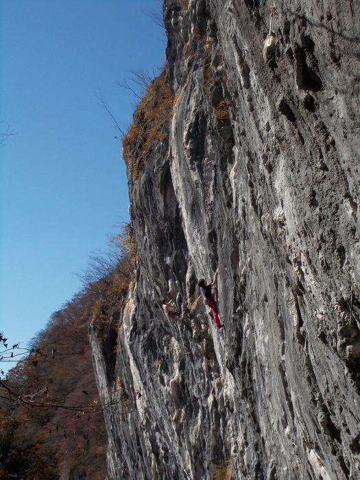 b0037220_22191117.jpg