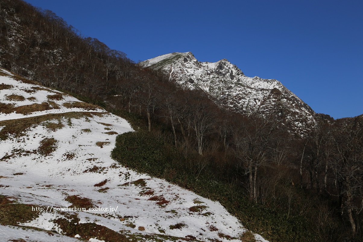 b0062024_19265439.jpg