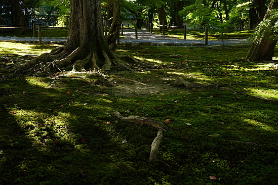 f0037227_1858461.jpg