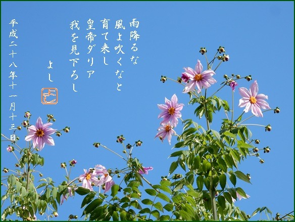 e0033229_1738737.jpg