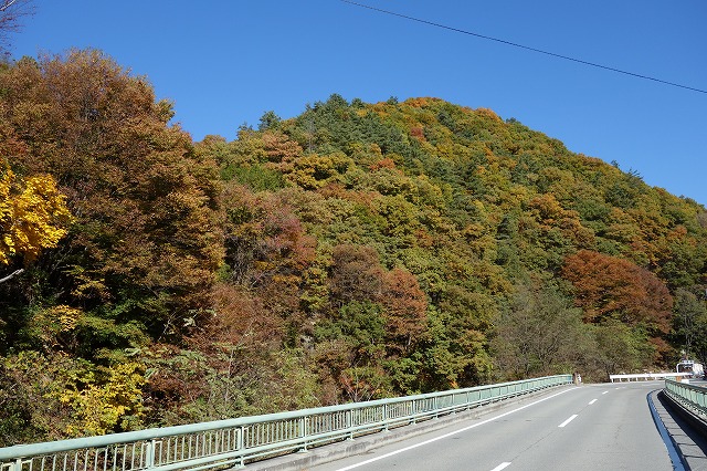 a0138134_19413050.jpg
