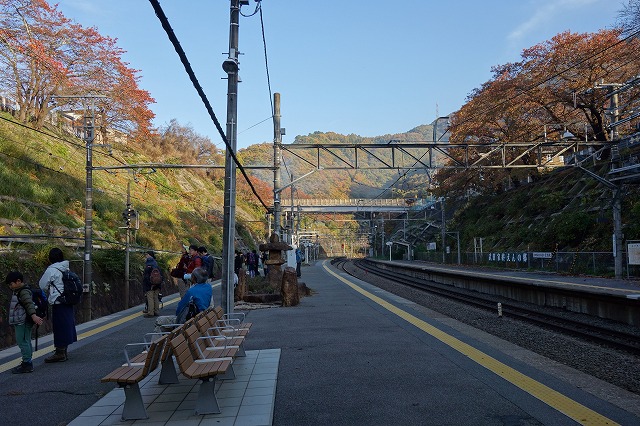 a0138134_20255768.jpg