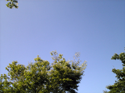 e0360834_01191171.jpg