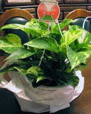 e0360834_01200146.jpg