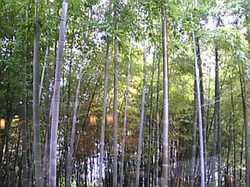 e0360834_01200454.jpg