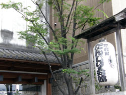 e0360834_01203459.jpg